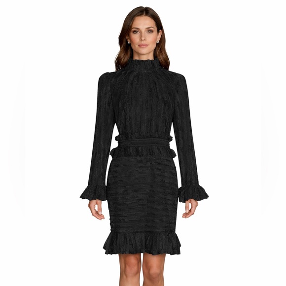 M Signature Label Collection Dresses & Skirts - Feathered Stunning Ruffle Dress The Alessea